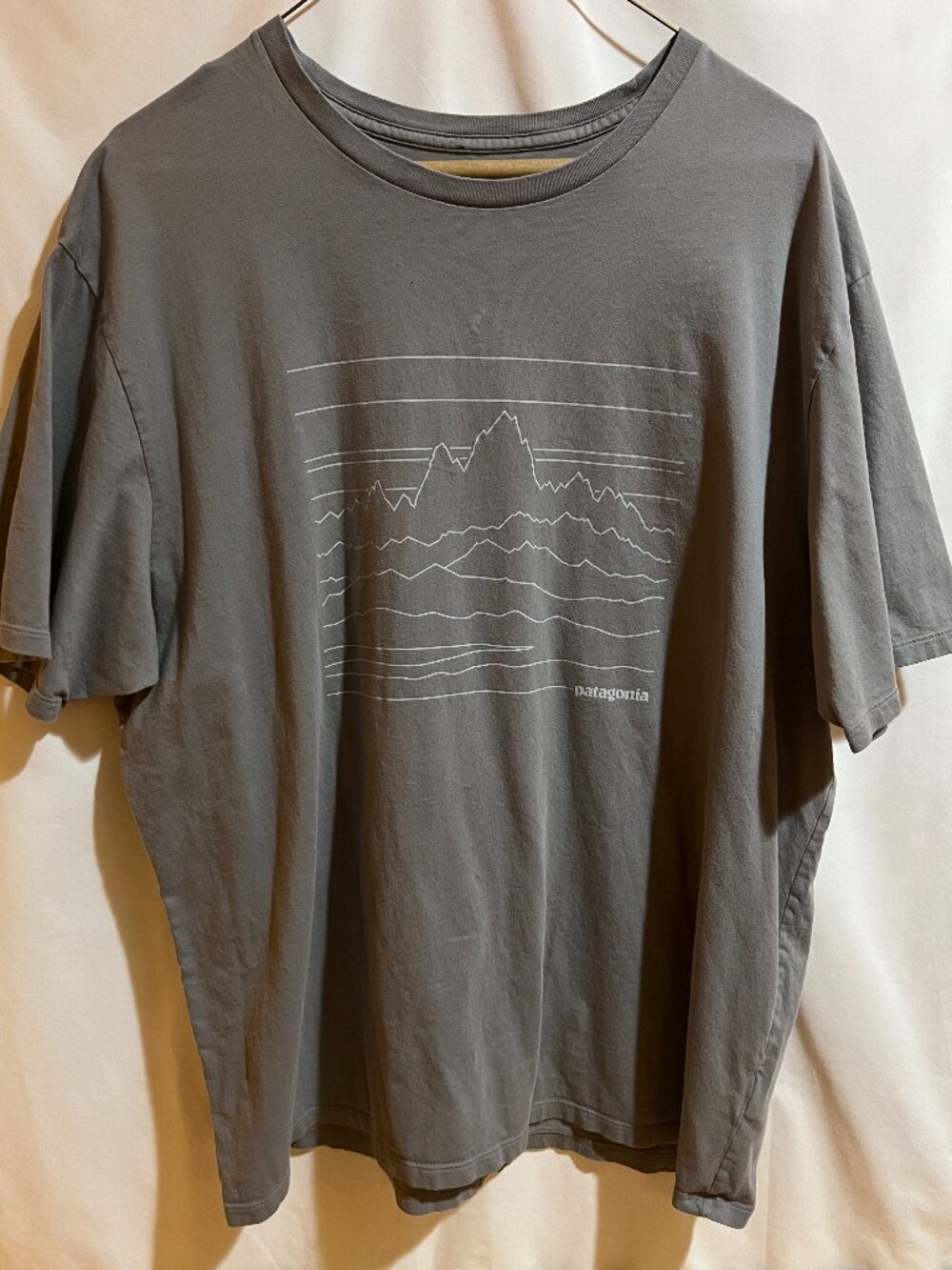 Patagonia Shirt Men's Size XL Mountain Graphic Used Good Condition $25